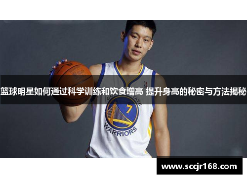 篮球明星如何通过科学训练和饮食增高 提升身高的秘密与方法揭秘