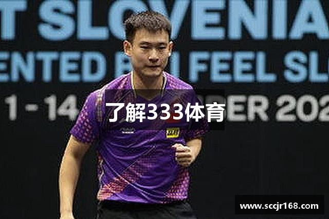 了解333体育